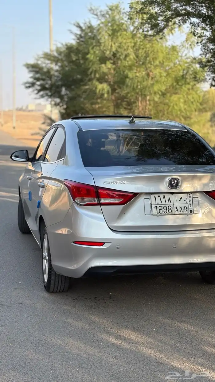 شانجان السفن فل كامل للبيع 10