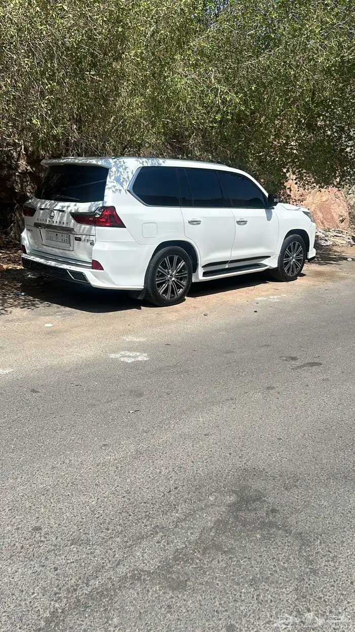 في اكس ار فل الفل بدي بلد تماتيك 11