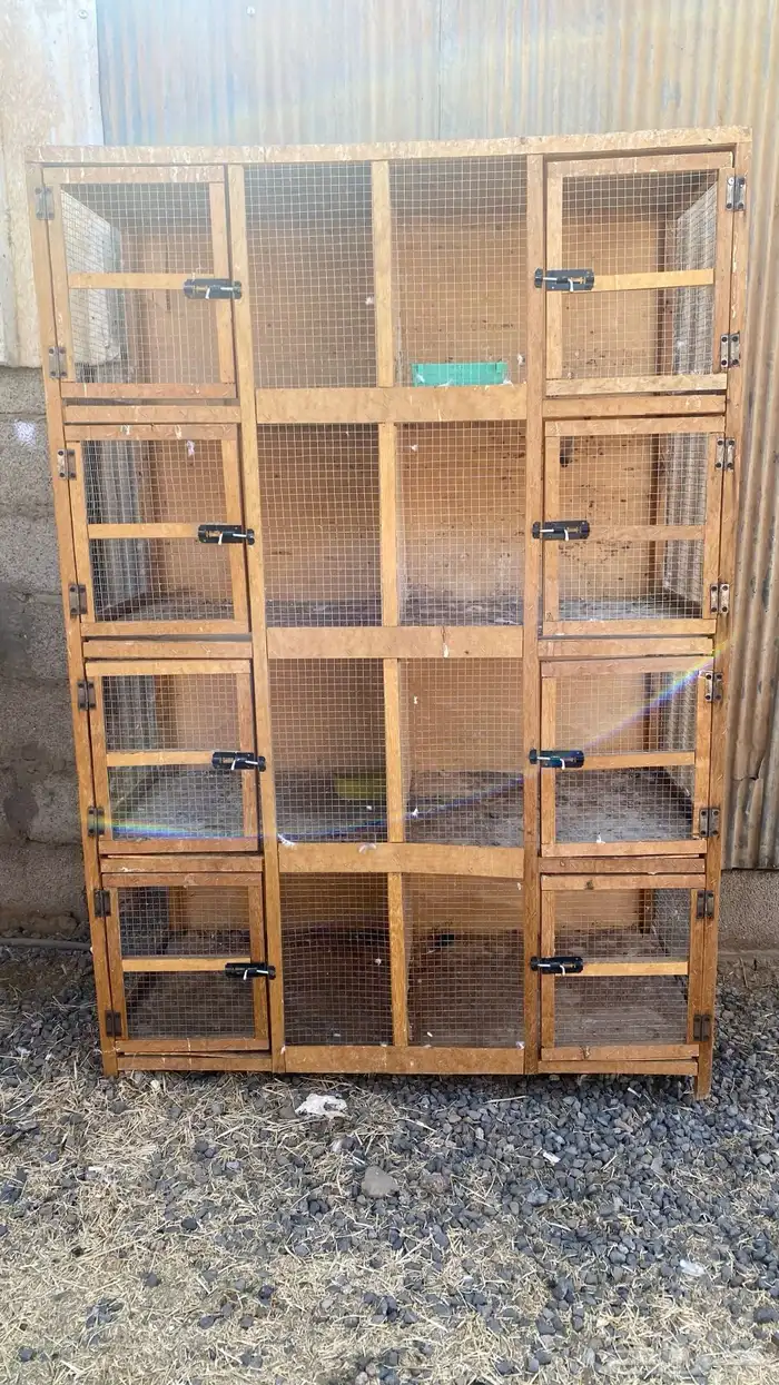 محكر ابو 8 خنات حمام 0