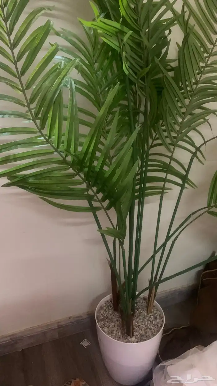 للبيع المستعجل 0