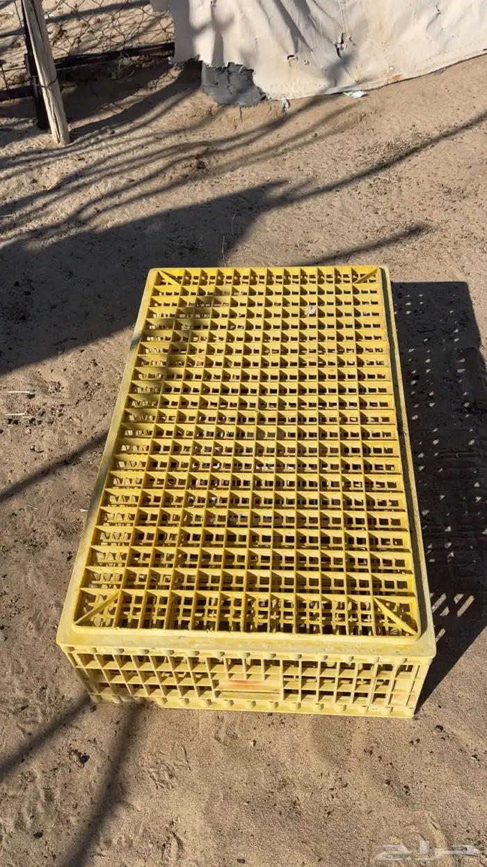 شبك طيور للبيع 2