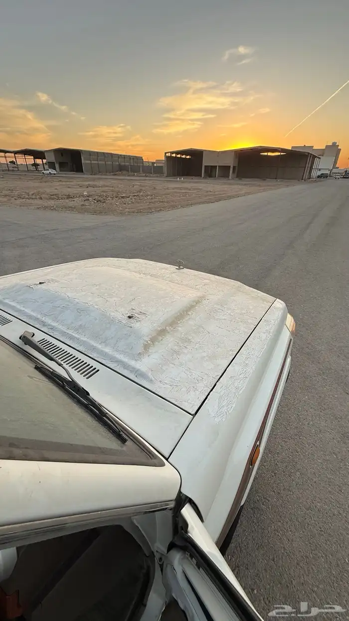 ربع بريمي 2016 مشروط بدي محركات 39