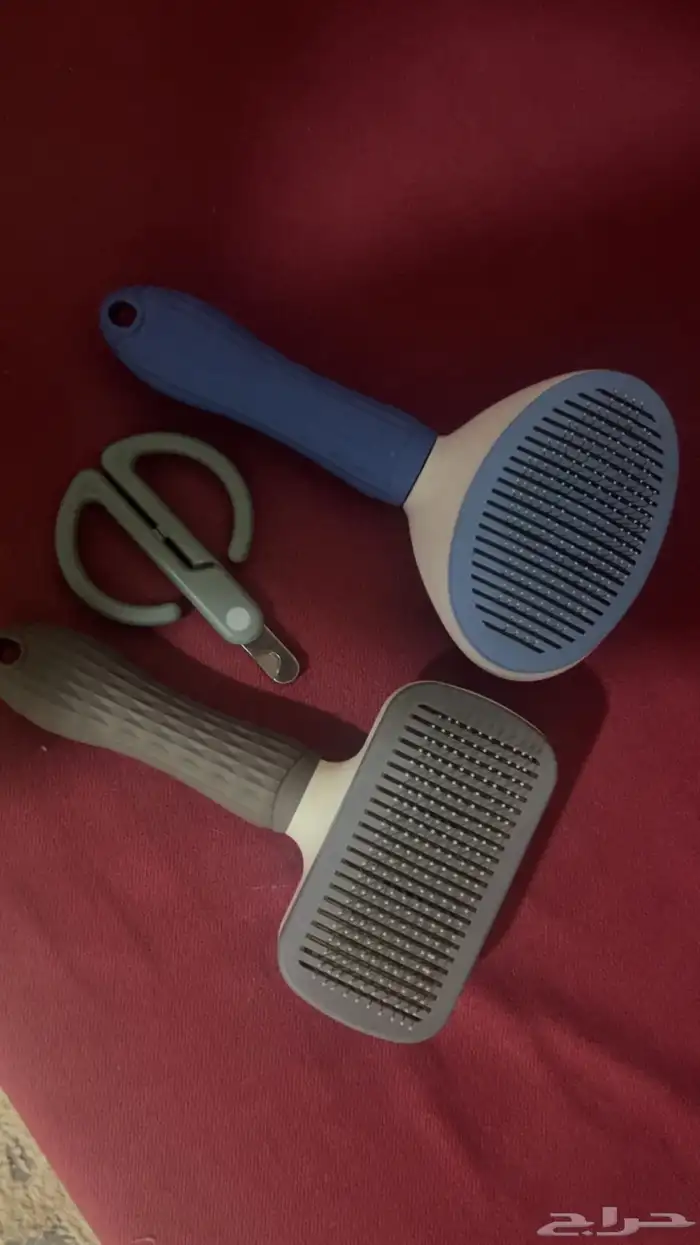 قطط للبيع مع اغراضها 7