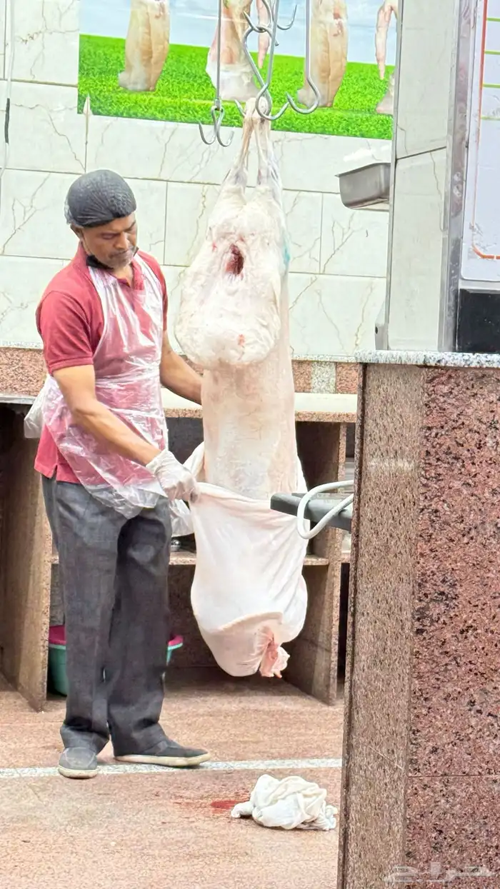 نعيمي بلدي جبر   حاشي بلدي لباني 17