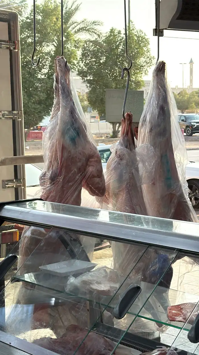 نعيمي بلدي جبر   حاشي بلدي لباني 0