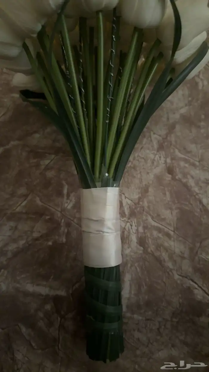 مسكه عرايس توليب 1