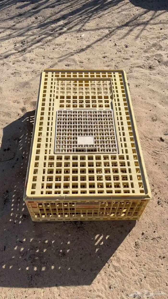 شبك طيور للبيع 0