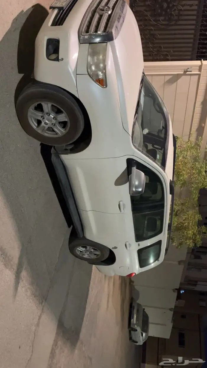 سكويا ابيض على الشرط 4