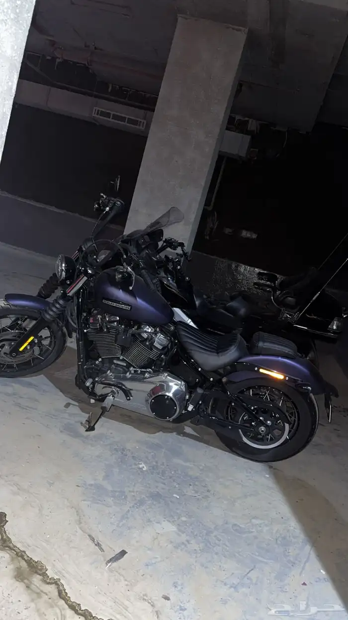 هارلي سريت بوب Harley Street Bob 2025 3