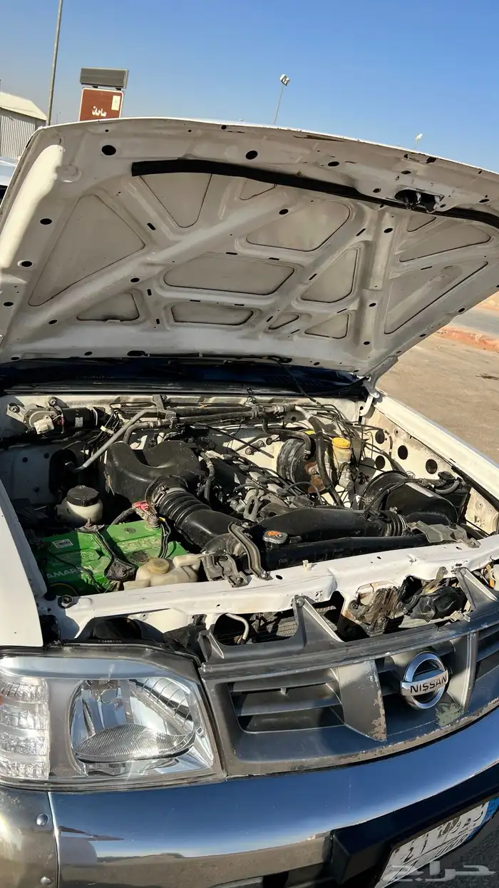 ددسن نضيفه 11