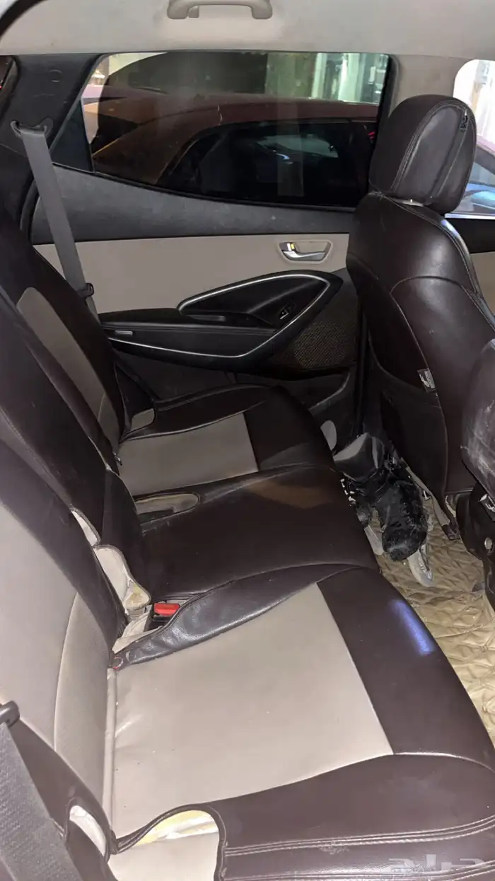 سنتافي لي بيع 4