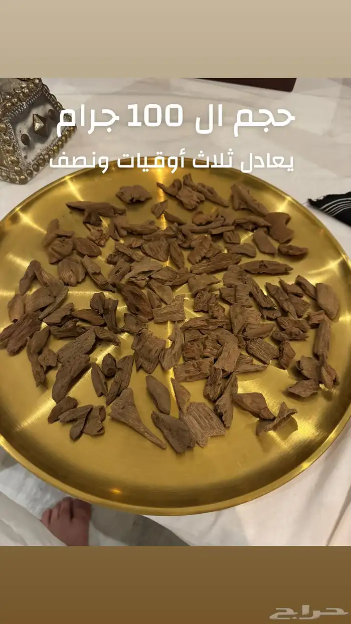 عود مروكي طبيعي 100   100 فخامه لا متناهيه 6