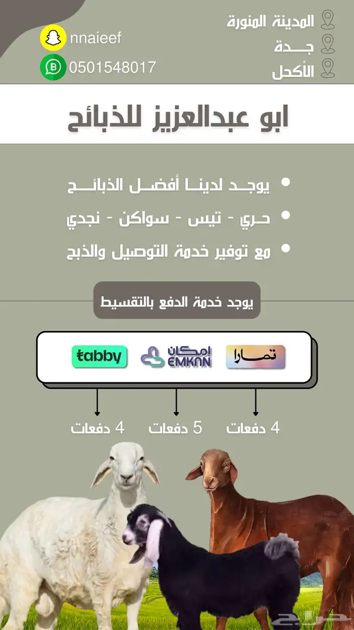 ذبائح الأكحل 26