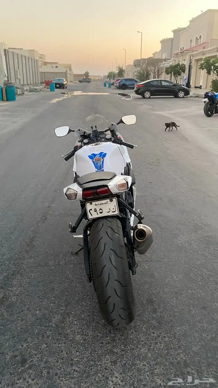 دباب سوزوكي 2013 600cc 8