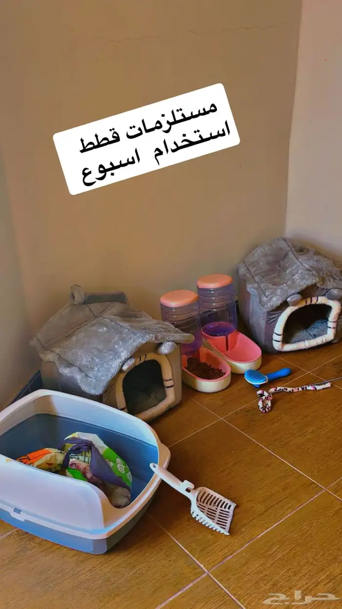 مستلزمات قطط نظيفه استخدام اسبوع 0