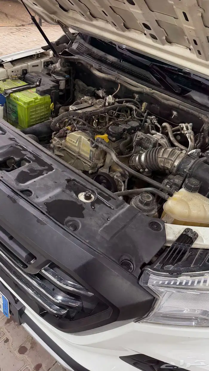 شانجان غمارتين 6