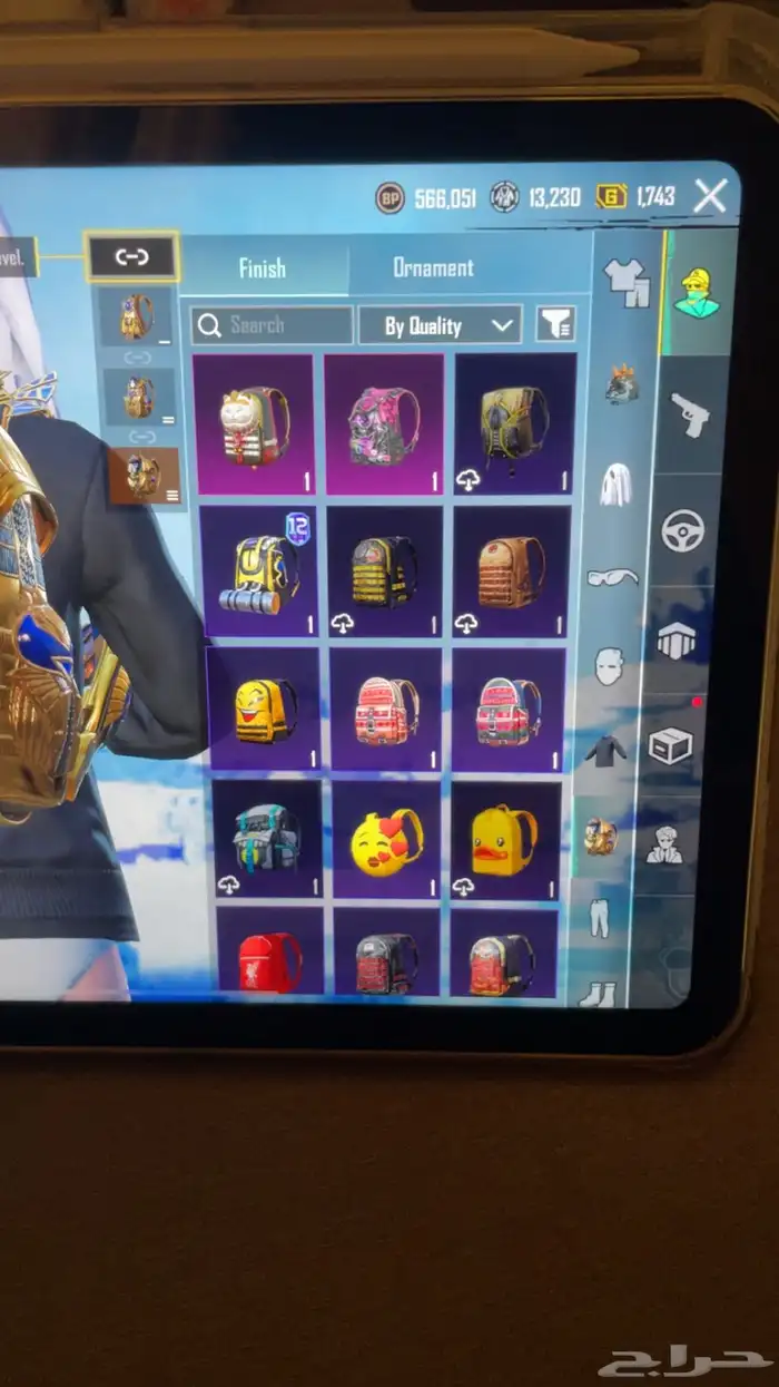 حساب ببجي 23