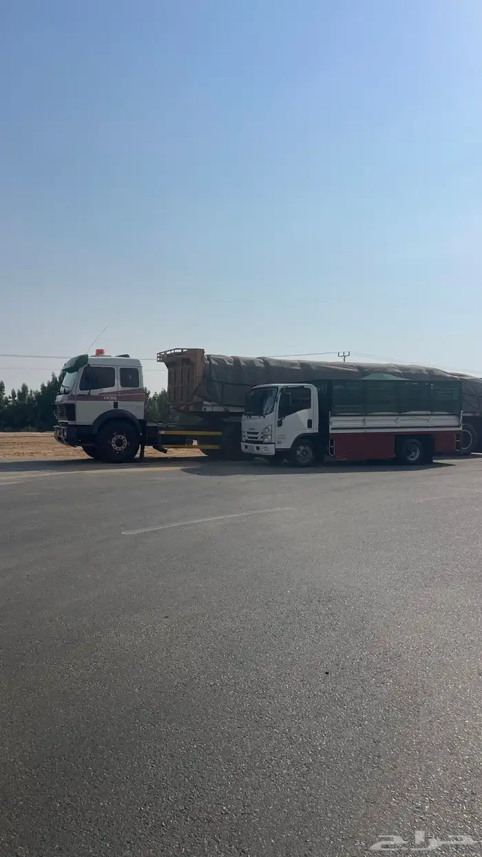 دينه دينا محايل 2