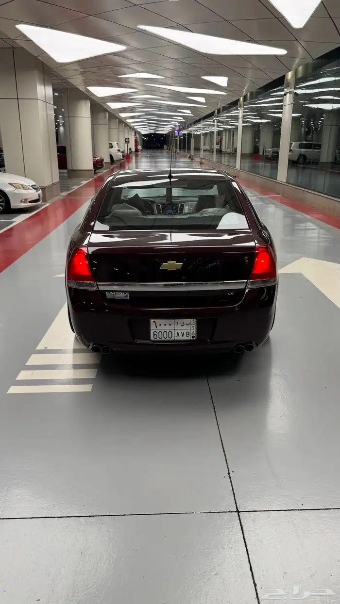 كابرس 2014 عنابي بودي بلد شرط 2