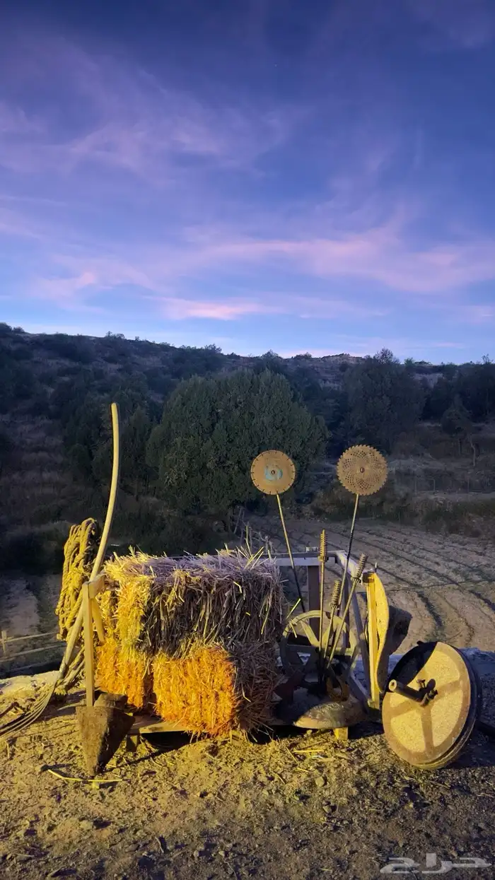 مزرعة الطريق القديم تقدم لك تجربه جديده للسياحه الشتويه. 0