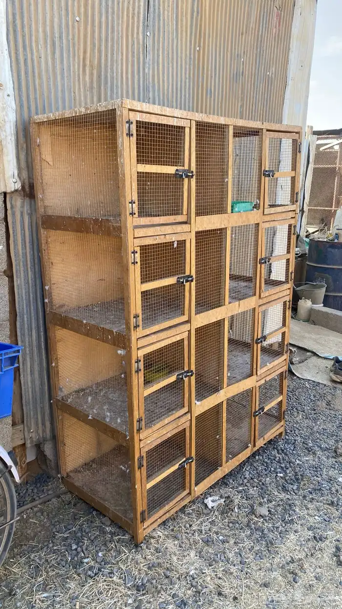 محكر ابو 8 خنات حمام 1