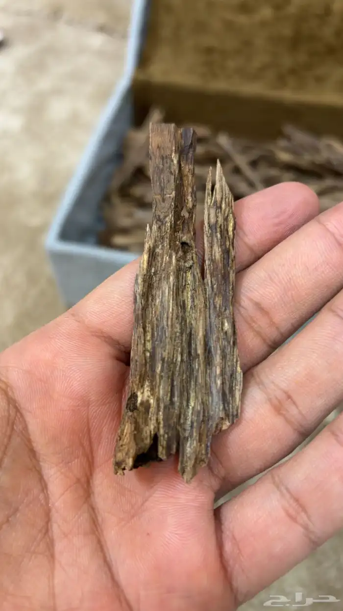 عود هندي نقلاند دبل سوبر وسوبر 3