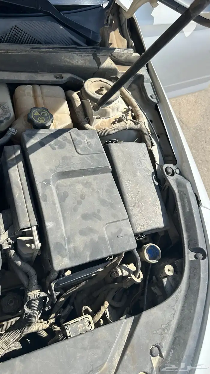 امبالا مديلها 2015 33