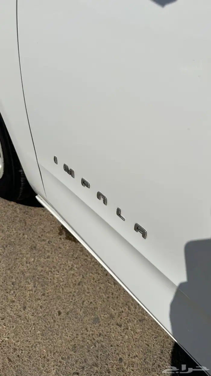 امبالا مديلها 2015 26