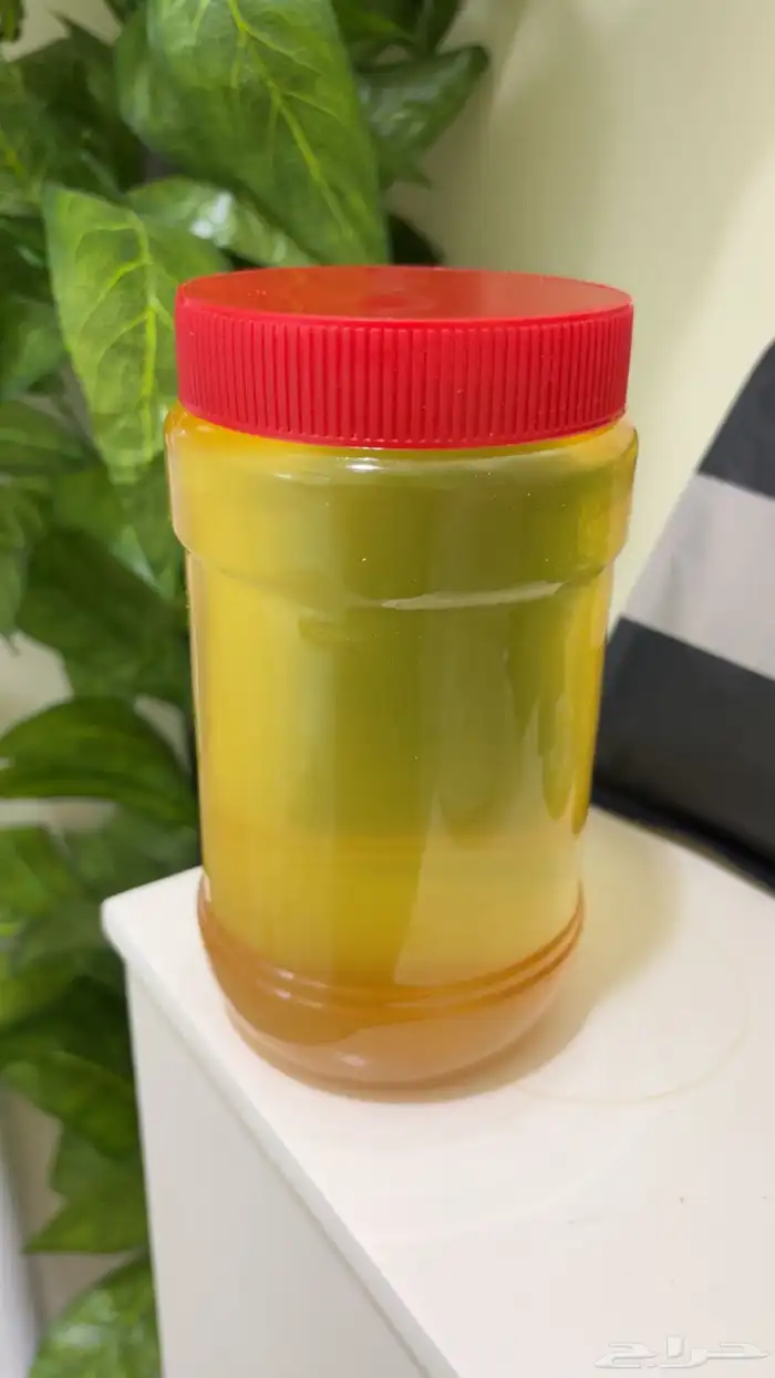 سمن غنم عرضيات شغل بيت نظيف الكيلو ب200 1