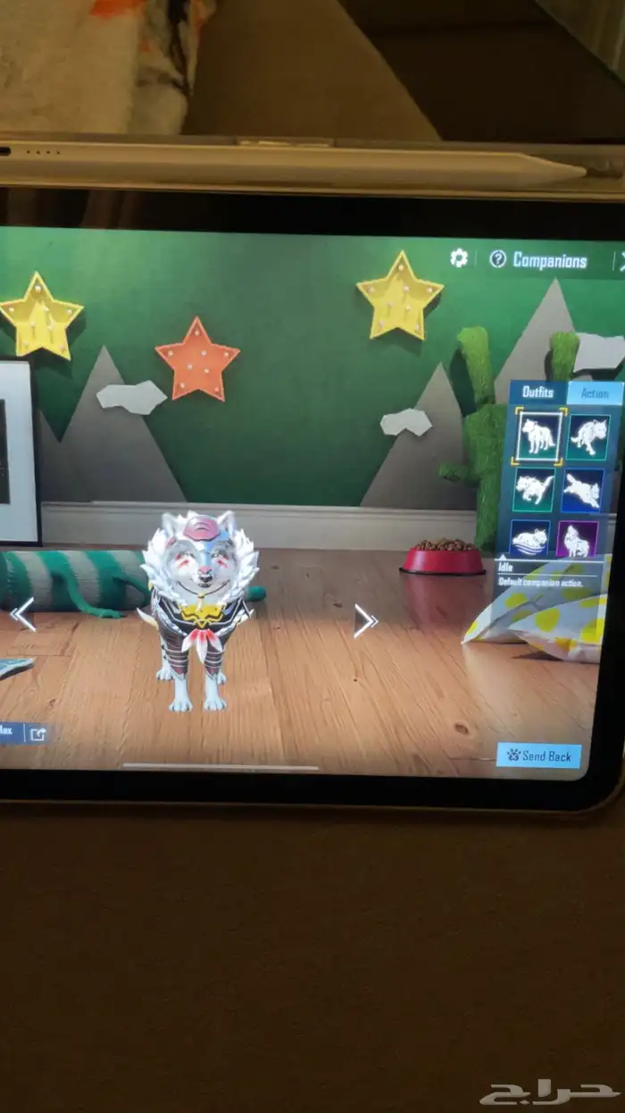 حساب ببجي 13