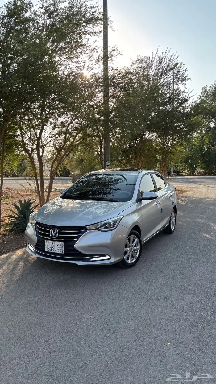 شانجان السفن فل كامل للبيع 1