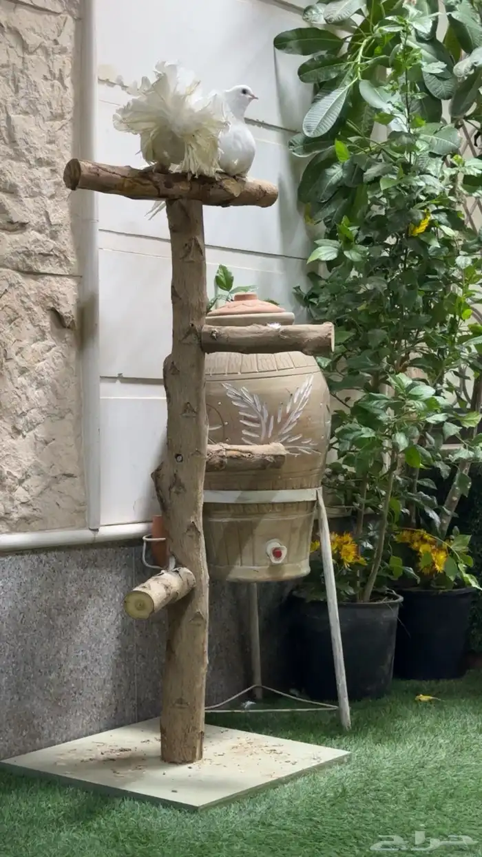 استاند طيور 0