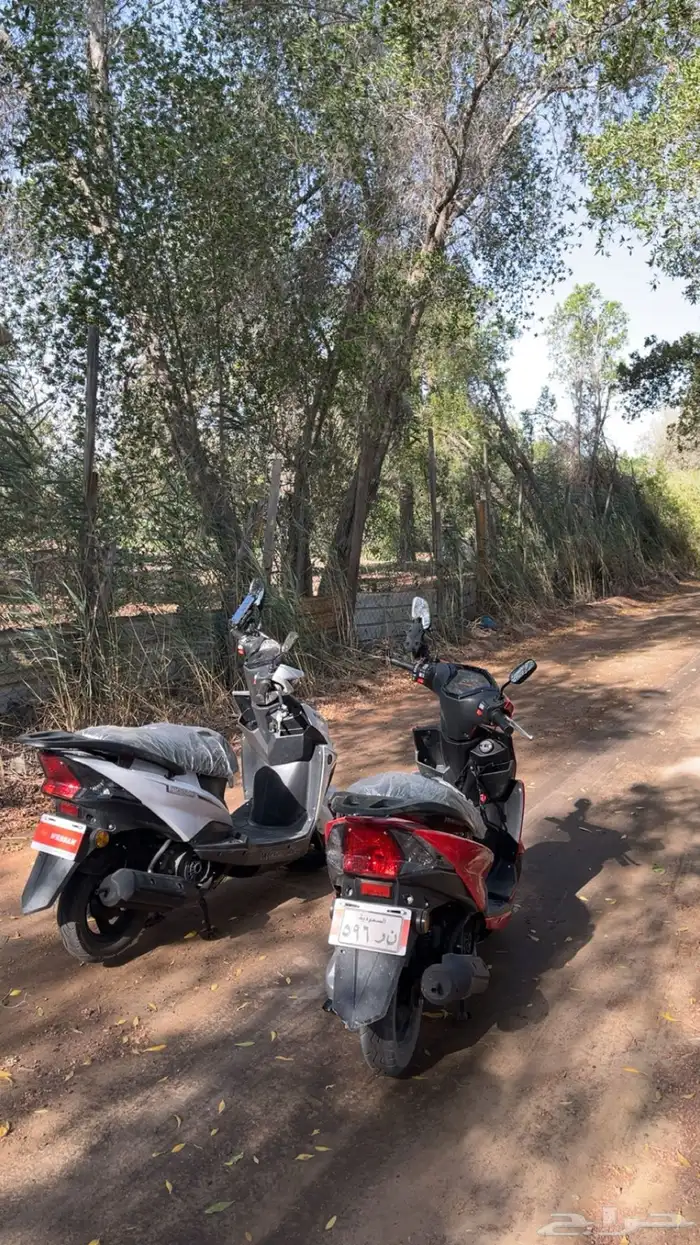 دباب الوسام الناري 0