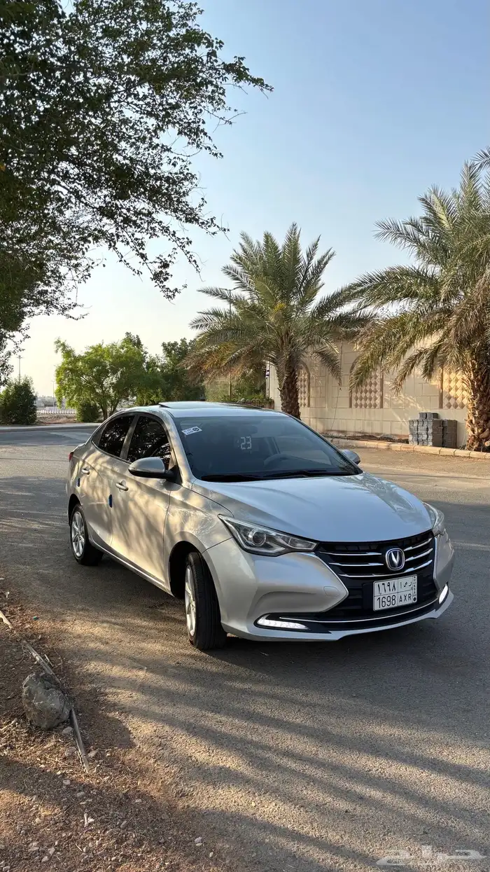 شانجان السفن فل كامل للبيع 2