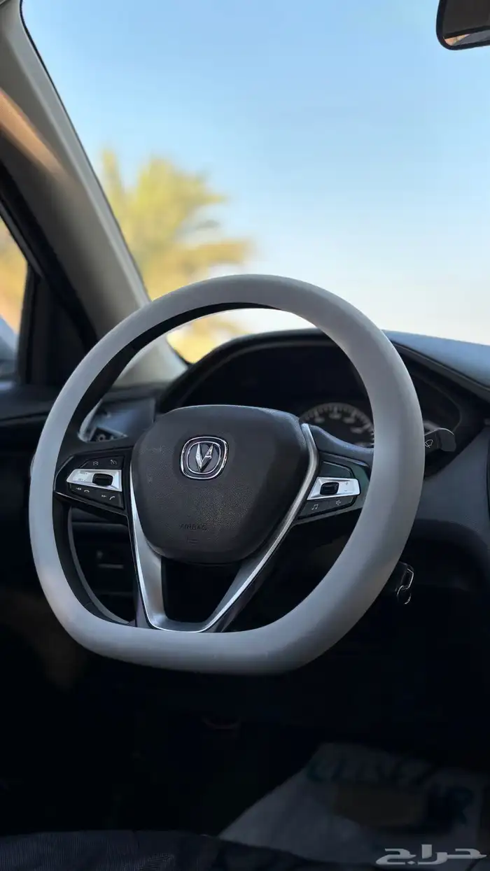 شانجان السفن فل كامل للبيع 14