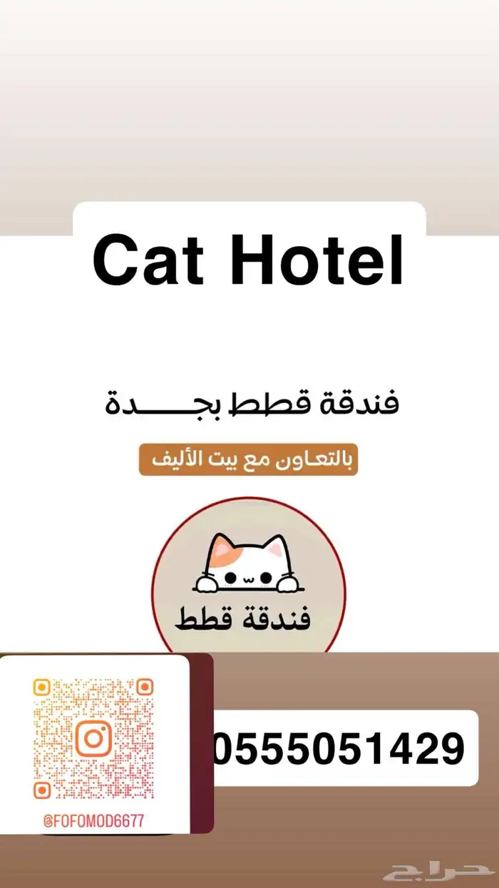 اوتيل قطط عناية علاج. 3