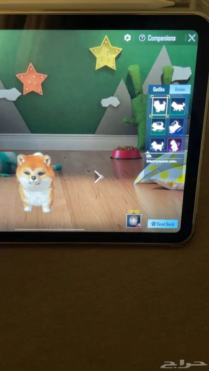 حساب ببجي 11