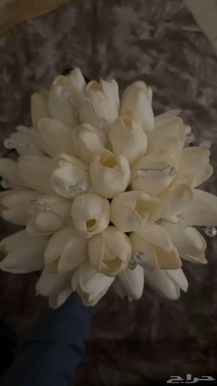 مسكه عرايس توليب 2