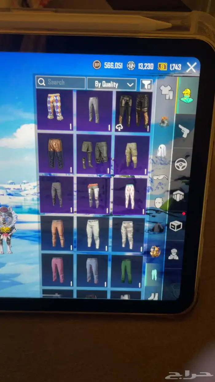 حساب ببجي 19