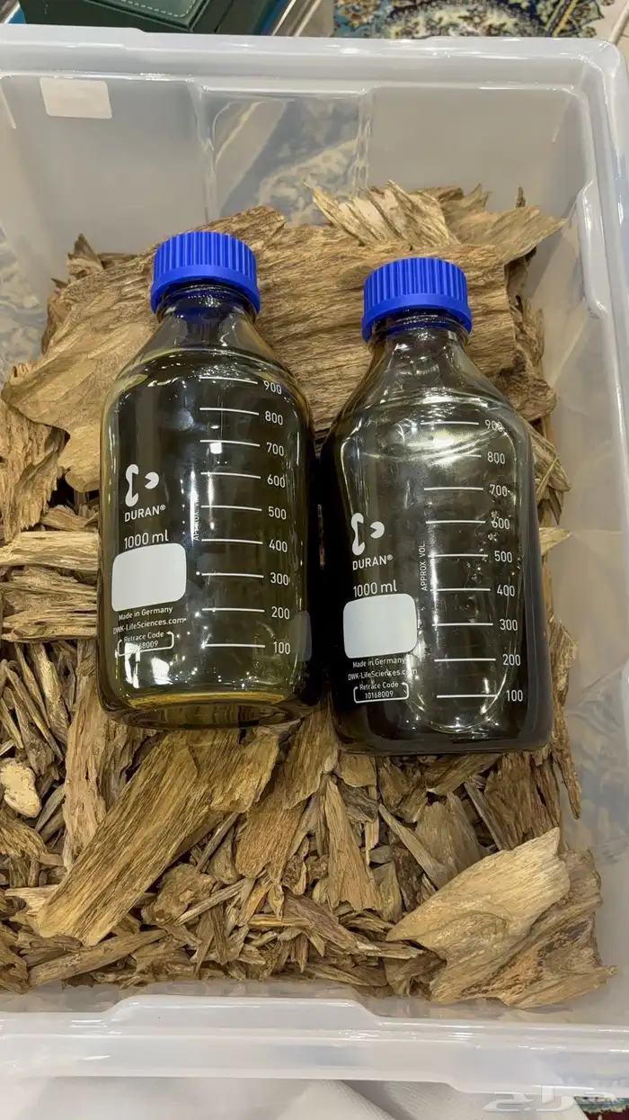 عود مرركي آصقون 5