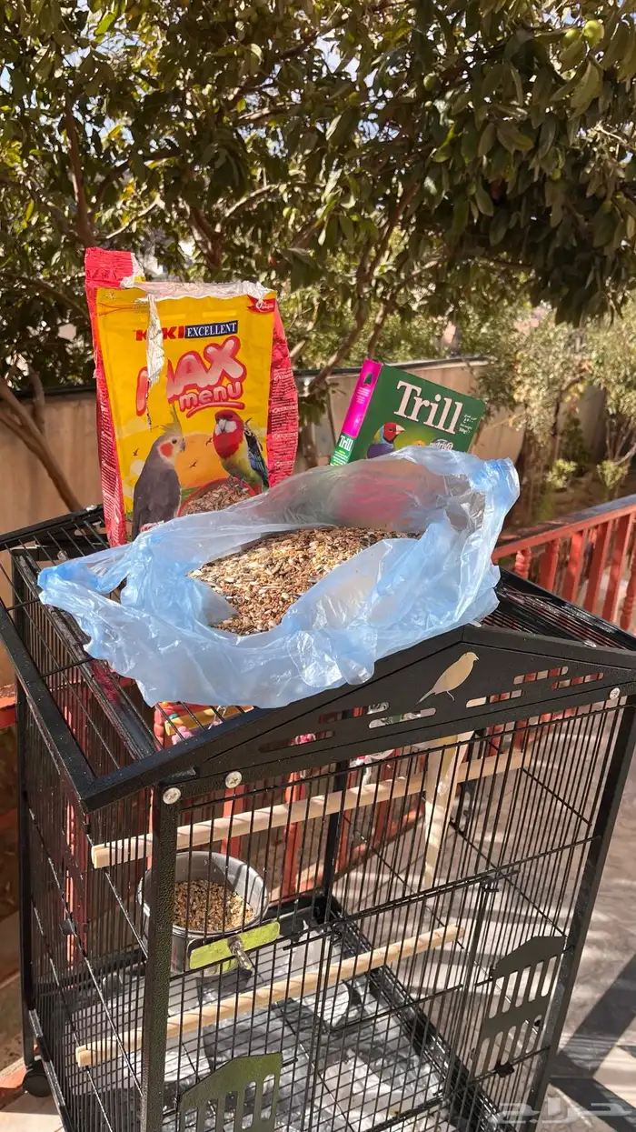 كروان اليف جدا 4