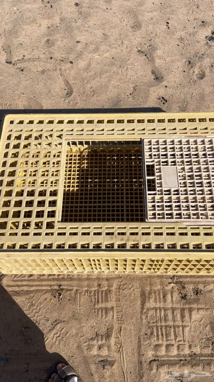 شبك طيور للبيع 4