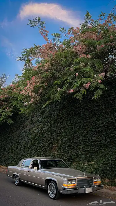 كاديلاك فليتوود 1984 index