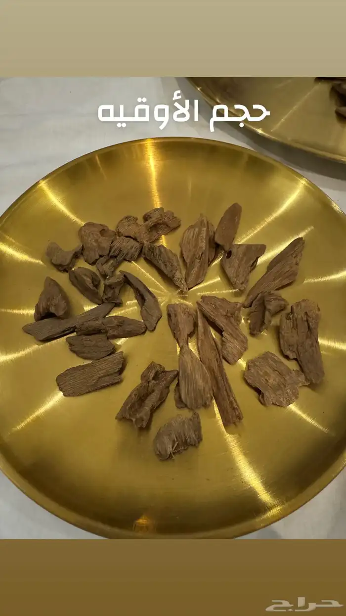 عود مروكي طبيعي 100   100 فخامه لا متناهيه 5