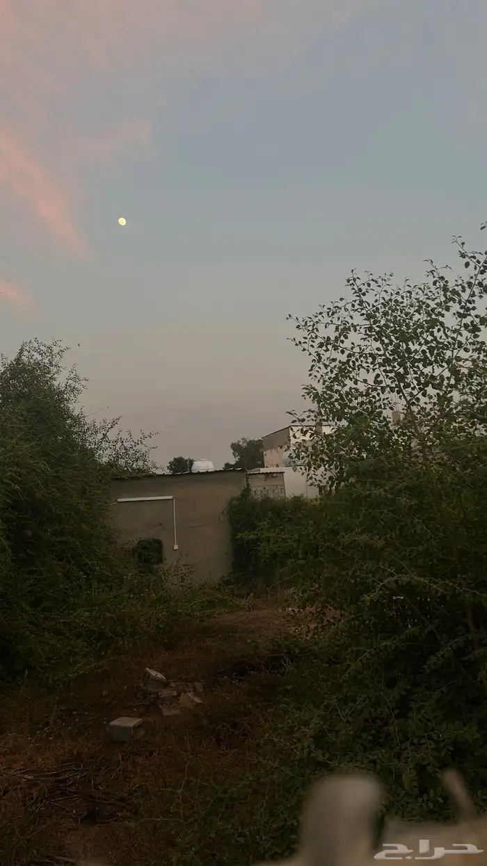 ارض للبيع 5