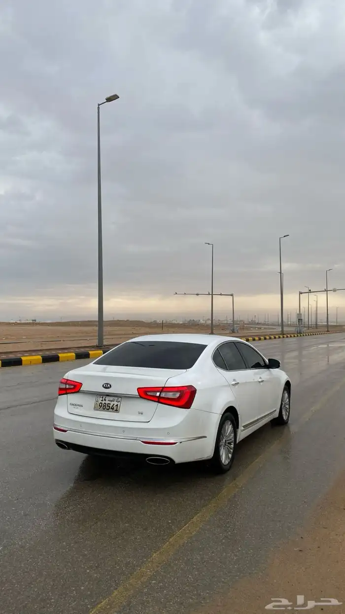 كادينزا 16 تسقيط 2