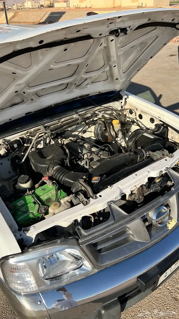 ددسن نضيفه 12