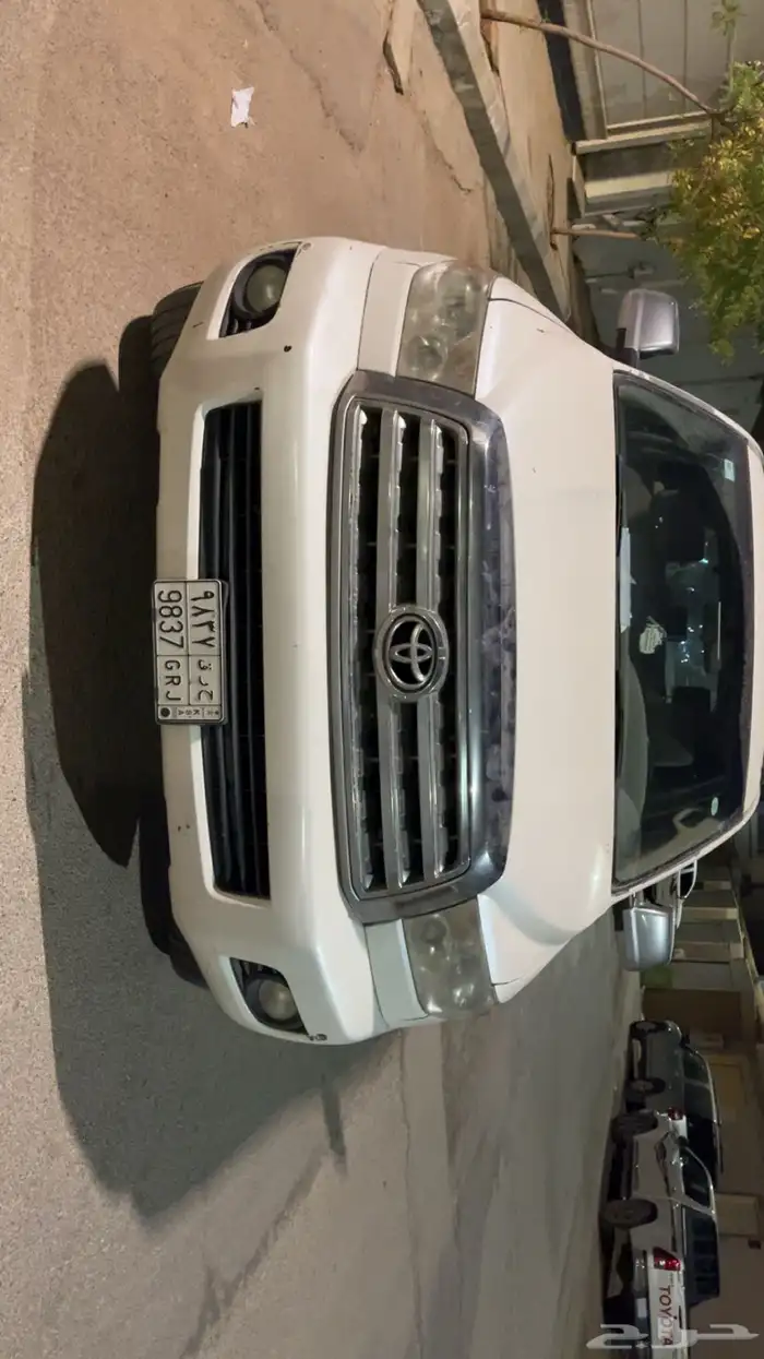 سكويا ابيض على الشرط 2