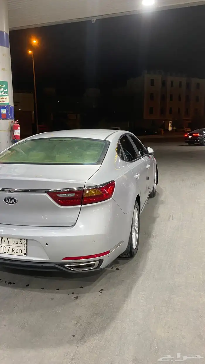 كادينزا 2018 6