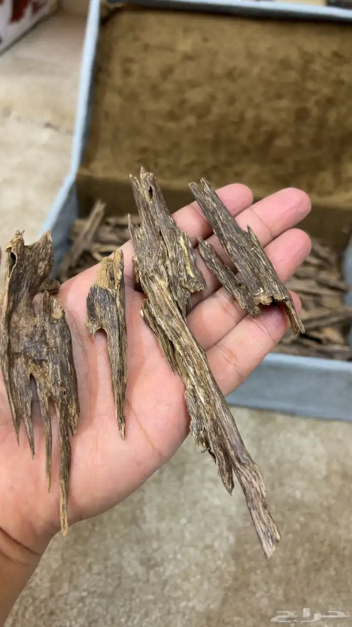 عود هندي نقلاند دبل سوبر وسوبر 2